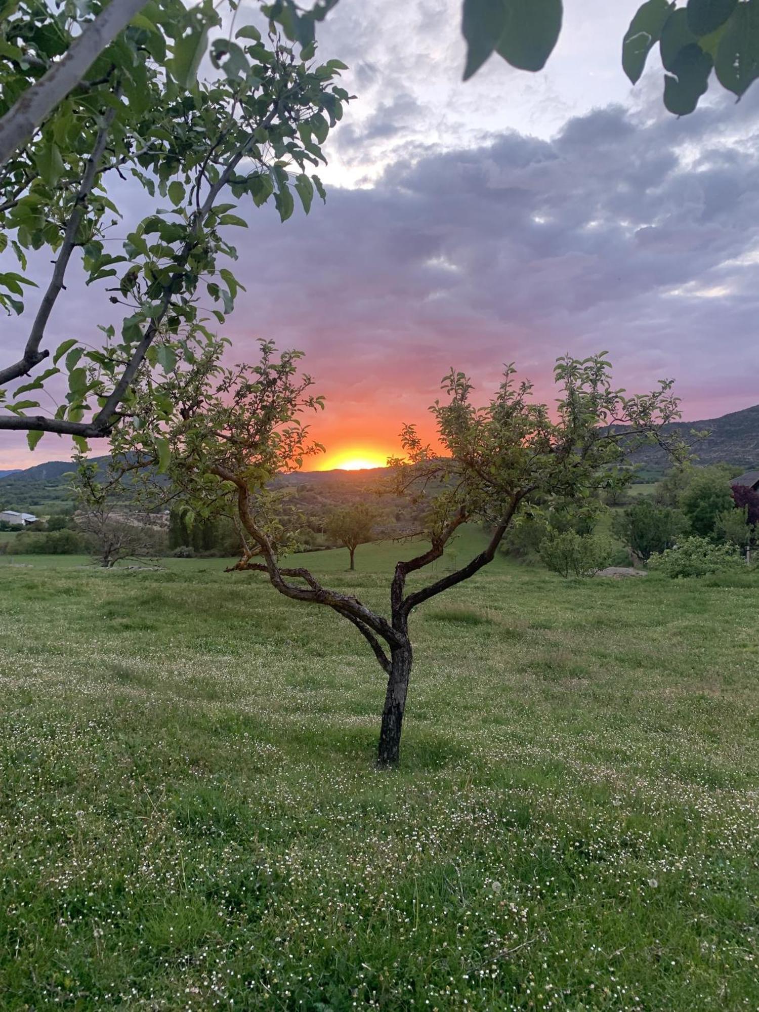 Regalate Paz Villa Estallo Exteriör bild